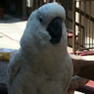 Meet your Posher, Liliana